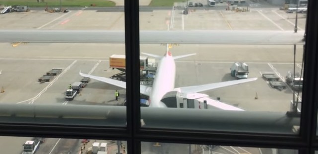 Vrouw vingert vagina in vliegtuig