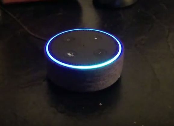Amazon Alexa gadget denkt dat het “a lot of sex” heet