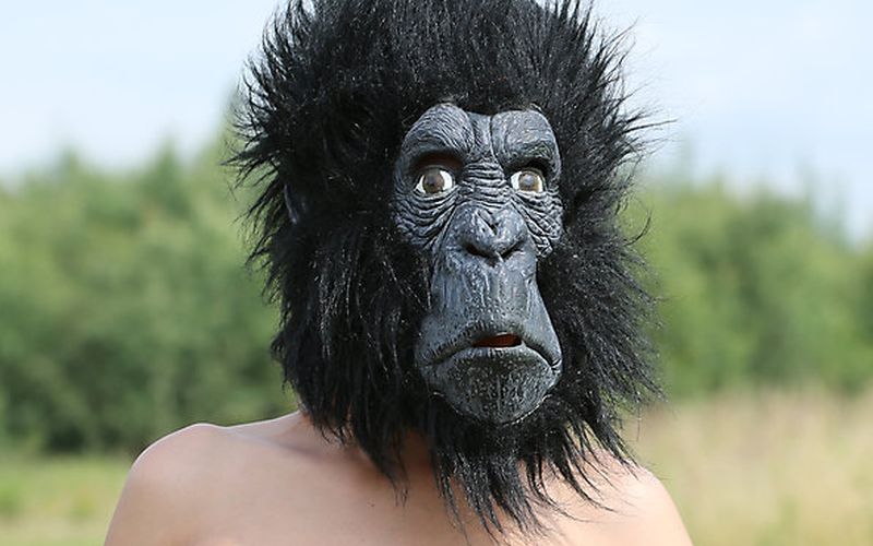 Vrouw in gorillapak zorgt voor arrestatie potloodventer 📷