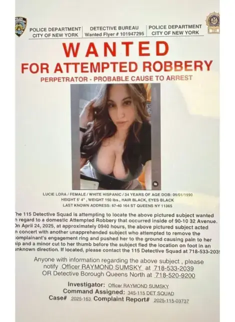 De zaak van de vrouw met het hele diepe decolleté 3 Wanted Poster vrouw met het diepe decolleté